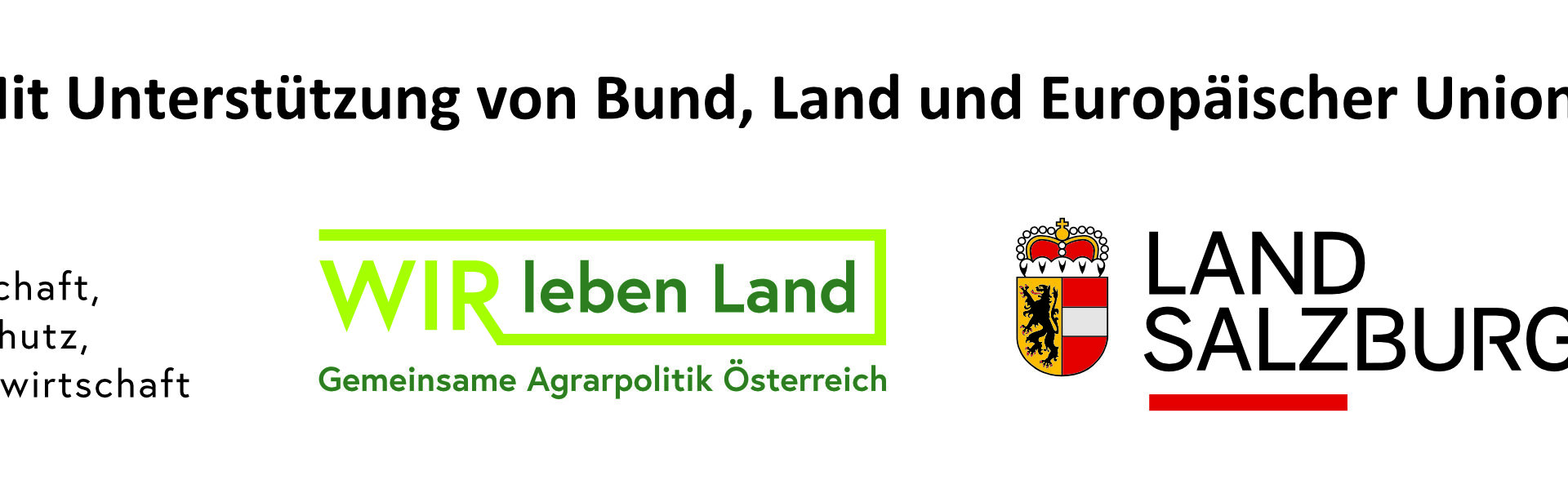 Leader Logo Neu