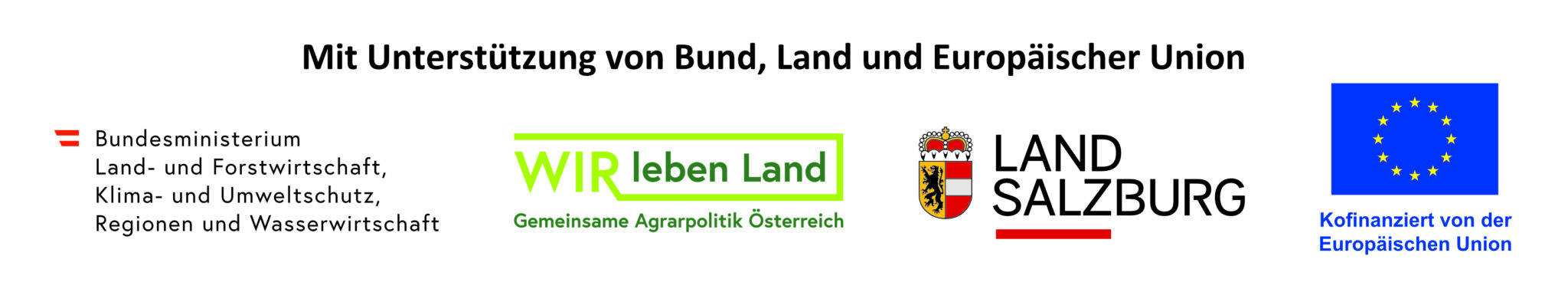 Leader Logo Neu